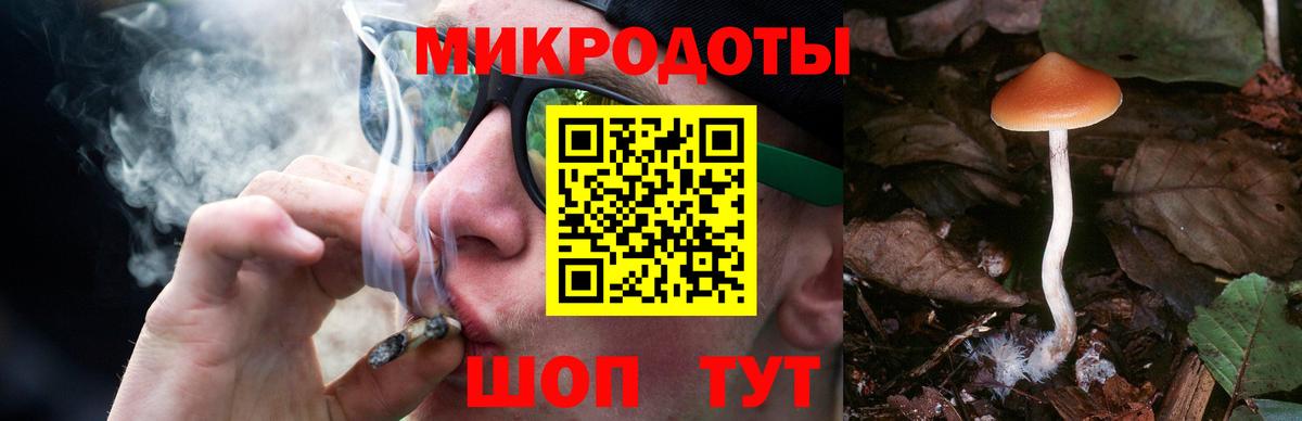 Выборг  Галлюциногенные грибы мухоморы  Вход с VPN 